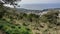 Anacapri - Panoramica dal sentiero di Via Monte Solaro