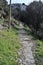 Anacapri - Sentiero verso Monte Solaro
