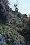 Anacapri - Tratto finale della Seggiovia Monte Solaro