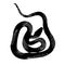 Anaconda snake or boa constrictor. Cobra is poisonous. Viper snake. Decorative print for clothes. Adjacent