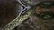 Anaconda snake underwater