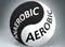 Anaerobic and aerobic in balance - pictured as words Anaerobic, aerobic and yin yang symbol, to show harmony between Anaerobic and