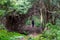 Anaga - Woman with backpack walking on a hiking trail in the Anaga mountain range on Tenerife, Canary Islands, Spain