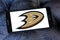 Anaheim Ducks ice hockey team logo