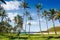 Anakena beach and Ahu Nau Nau on Easter Island