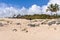 The Anakena Beach in Easter Island, Chile