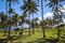 Anakena palm beach and Moais statues site ahu Nao Nao, easter is