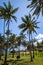 Anakena palm beach and Moais statues site ahu Nao Nao, easter is