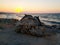 Analipsi Crete, Greece 9.16.2018 - statue of dolphins watching sunset