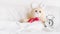Analog  clock and blurred cute little rabbit doll lying alone on white bed