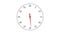 Analog clock face with a rotating red pointer. Forward counting sequence from 0 to 60 seconds.