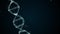 Analysis of DNA Structure. DNA strand molecule consisiting of four pieces adenine, thymine, guanine and cytosine.