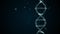 Analysis of DNA Structure. DNA strand molecule consisiting of four pieces adenine, thymine, guanine and cytosine.