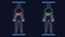 Analysis of Human Male Anatomy Scan on Futuristic Touch Screen Interface showing bones, organs, and neural network