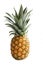 Ananas. Delicious Fruits,