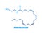 Anandamide concept chemical formula icon label, text font vector illustration