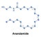 Anandamide fatty acid neurotransmitter