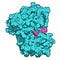 Anaplastic lymphoma kinase (ALK, tyrosine kinase domain) protein. Shown in complex with the inhibitor crizotinib. 3D rendering