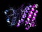 Anaplastic lymphoma kinase (ALK, tyrosine kinase domain) protein. Shown in complex with the inhibitor crizotinib. 3D rendering