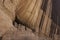 Anasazi cave dwelling in the Canyon de Chelly, Arizona - horizon