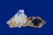 Anatase Crystal, Quartz crystals on host rock. Blue Background.