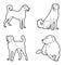 Anatolian Shepherd Dog Animal Vector Illustration Hand Drawn Cartoon Art