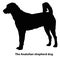 The Anatolian shepherd dog different breeds, vector set of silhouettes