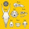Anatomic or Halloween illustration, witch animal skulls