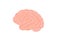 Anatomical brain. Large pink gyrus encircle entire circumference complex structure of intelligence cerebral organ.