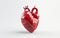 Anatomical Essence: Isolated 3D Heart