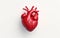 Anatomical Essence: Isolated 3D Heart