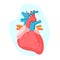 Anatomical human heart and cardiovascular system isolated on blue background. Health care concept.