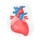 Anatomical human heart and cardiovascular system isolated on gray background. Health care concept.