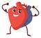 Anatomical human heart. Strong and healthy cartoon character