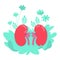 Anatomical kidney flat concept vector illustration