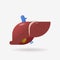 anatomical liver icon human body internal organ anatomy biology healthcare medical concept flat