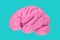 Anatomical Model of Human Pink Brain in Duotone Style. 3d Rendering