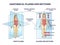 Anatomical planes or sections for human medical body division outline diagram