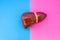 Anatomical shape of liver is located in middle of frame, divided by half by pink and blue background. Concept of gender features o