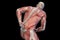 Anatomical vision back pain. 3D illustration.