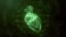 Anatomically correct green digital human heart. Futuristic particle cardiac scan