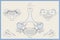 Anatomy of the 7th Cervical Vertebra on Russian. Vertebra Prominens C7. Anterior, Posterior, Lateral and Top View. Illustration