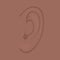 Anatomy_African American and indian ear