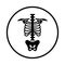 Anatomy, backbone, body, ribs, spine, organ, skeleton icon. Black vector design.