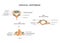 Anatomy of cervical vertebrae