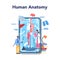 Anatomy education online service or platform. Internal human organ