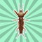 Anatomy of the European mole cricket. Sticker. Gryllotalpidae. Sketch of mole cricket mole cricket. hand-drawn outline