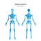 Anatomy guide of human skeleton. Anatomy didactic board of human bony system. Front and rear view.