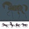 \'Anatomy\' of a Horse Pictogram