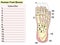 Anatomy. Human foot bones. Test, fill in the blank lines.